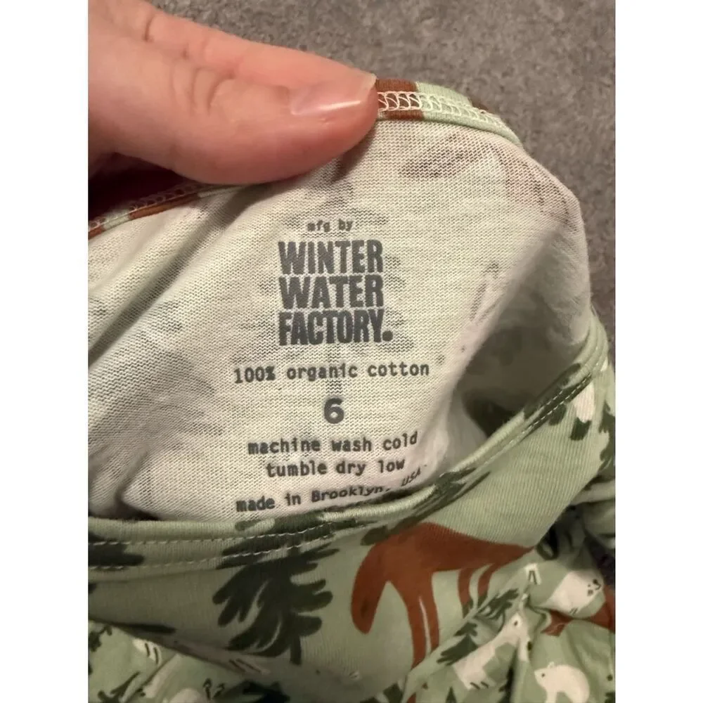 Winter Water Factory Green Woodland Forest Print Dress Sz 6